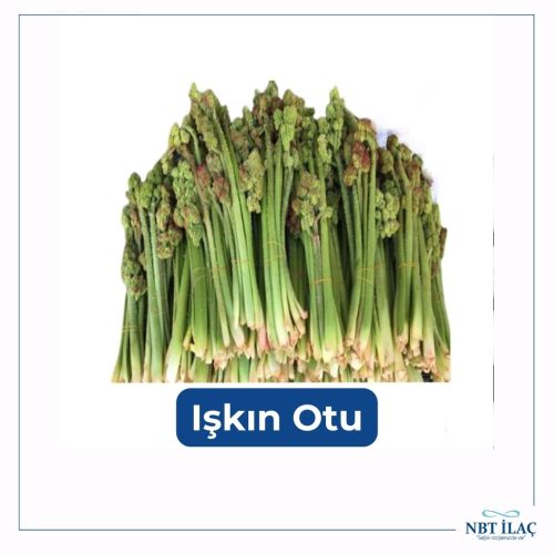 Iskin ne işe yarar? - Kapak Görseli