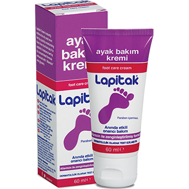 Lapitak ne işe yarar? - Kapak Görseli