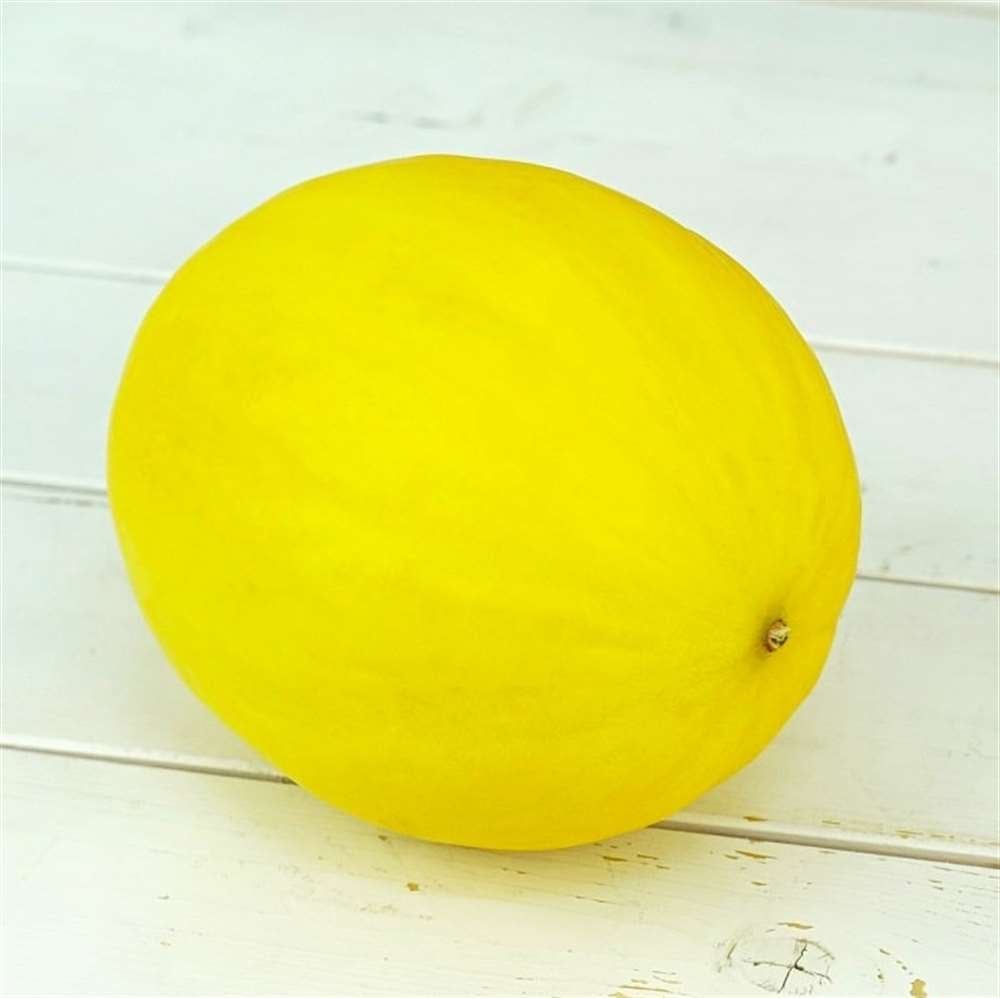 Kavun Gibi Ama Çaktı: Argo Anlamı ve Kullanım İpuçları [2026] - Kapak Görseli