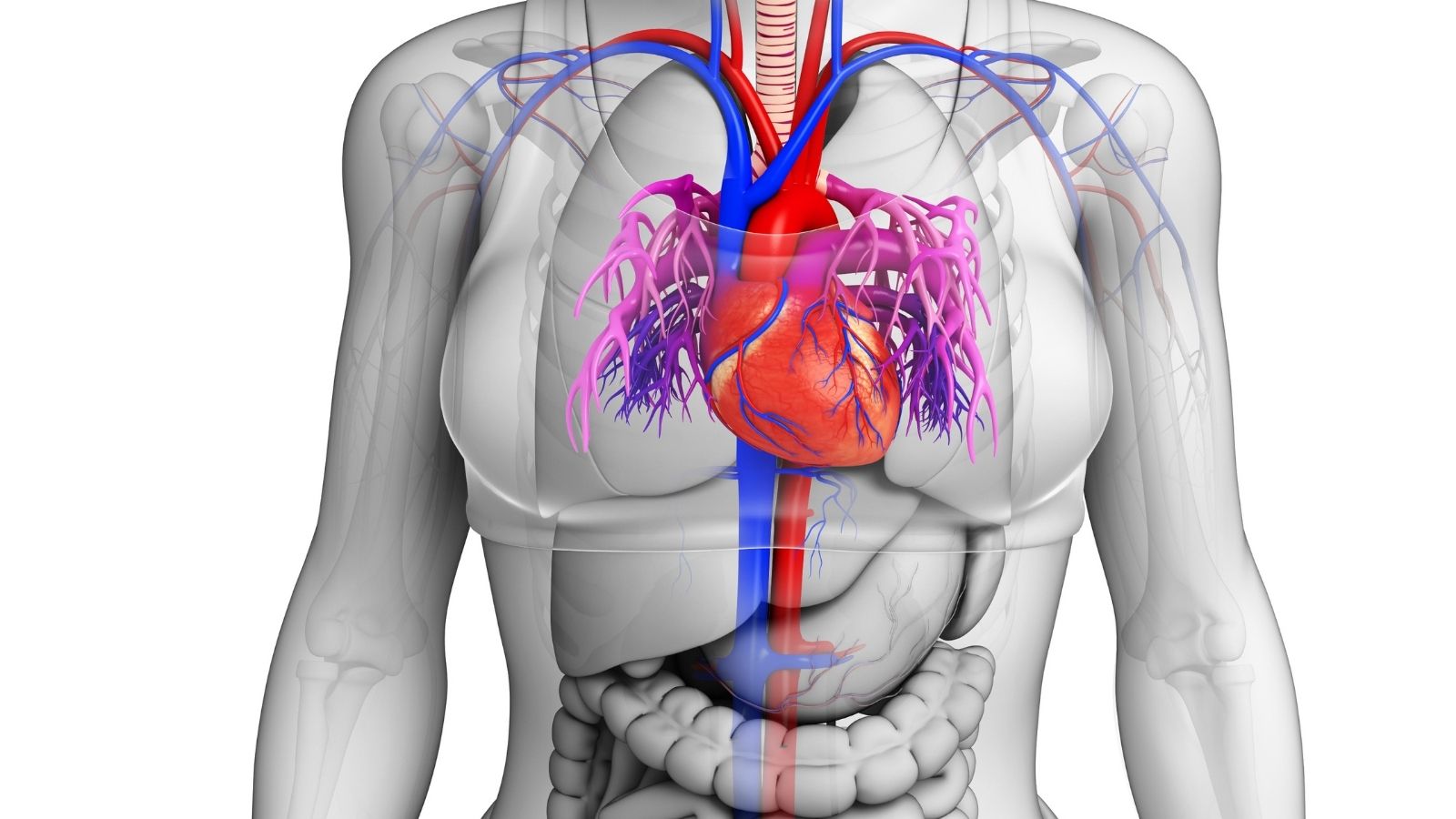 Takayasunun belirtileri nelerdir? - Kapak Görseli